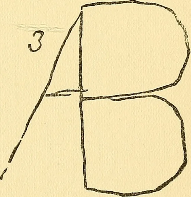 An illustration from The Society for Psychical Research : its rise & progress & a sketch of its work, 1903, leaf 28