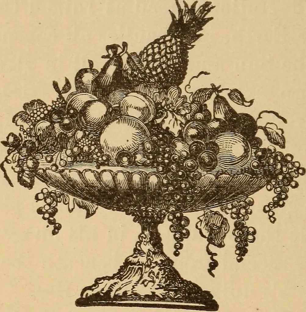 An illustration from The solar system, and marvels of the universe, 1883, leaf 23