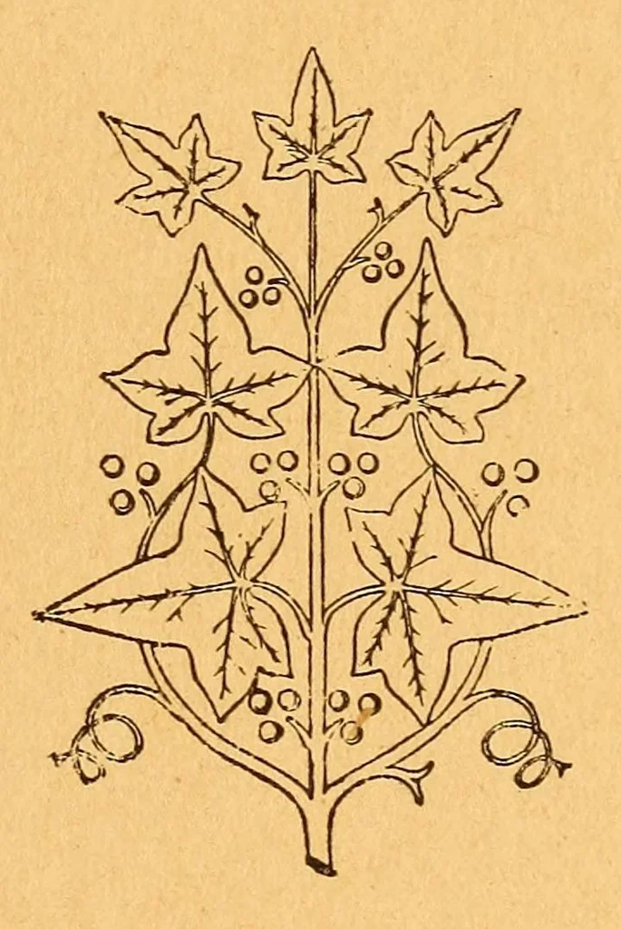 An illustration from Soldats et missionnaires au Congo de 1891 à 1894, 1896, leaf 195