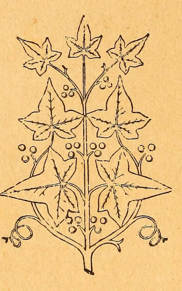 An illustration from Soldats et missionnaires au Congo de 1891 à 1894, 1896, leaf 262