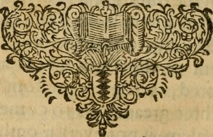 An illustration from Solomon's Gate, or, An entrance into the Church : being a familiar explanation of the grounds of religion conteined in the fowr heads of catechism .., 1662, leaf 509