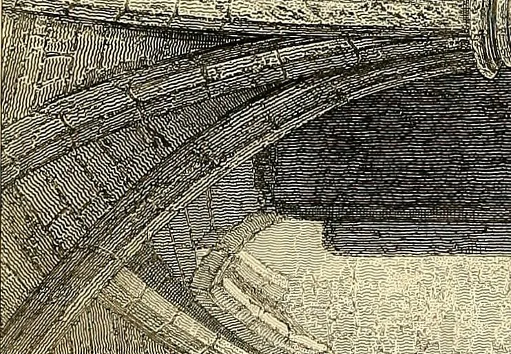 An illustration from Some account of domestic architecture in England from Edward I to Richard II, with notices of foreign examples and numerous illustrations of existing remains from original drawings, 1882, leaf 283