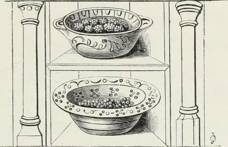 An illustration from Some account of domestic architecture in England, from Richard II to Henry VIII, 1859, leaf 240