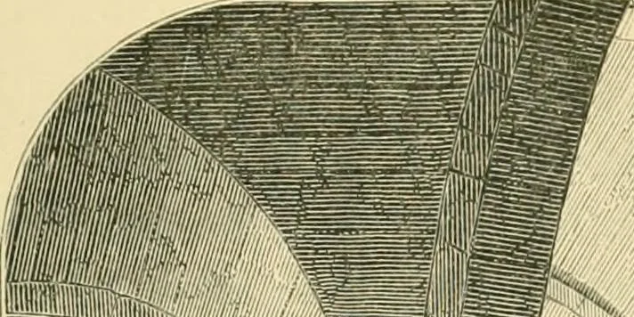 An illustration from Some account of Gothic architecture in Spain, 1865, leaf 226