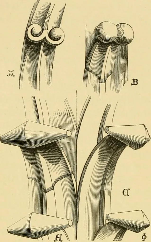 An illustration from Some account of Gothic architecture in Spain, 1865, leaf 51
