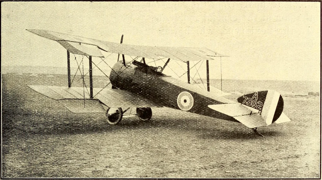 An illustration from Some developments in aircraft design and application during the War, 1919, leaf 38
