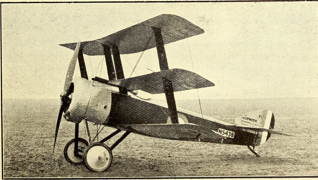 An illustration from Some developments in aircraft design and application during the War, 1919, leaf 38