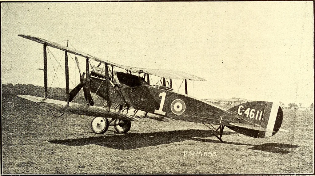 An illustration from Some developments in aircraft design and application during the War, 1919, leaf 44