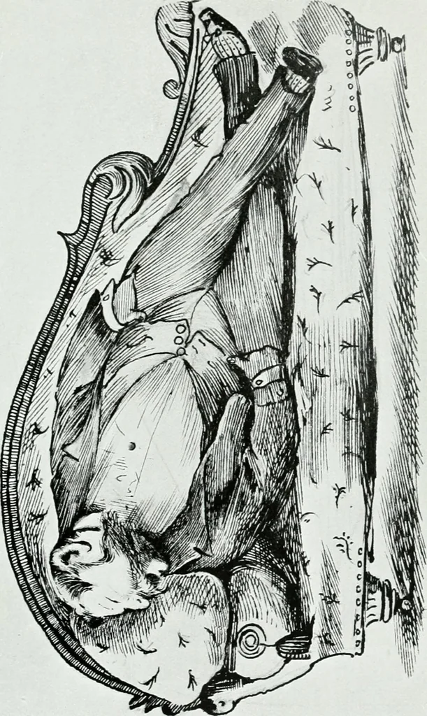 An illustration from Some eminent Victorians: personal recollections in the world of art and letters;, 1908, leaf 106
