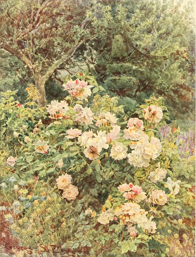 An illustration from Some English gardens;, 1904, leaf 226