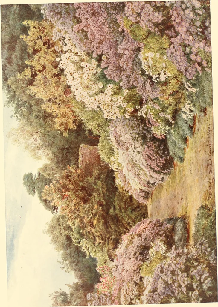 An illustration from Some English gardens;, 1904, leaf 324