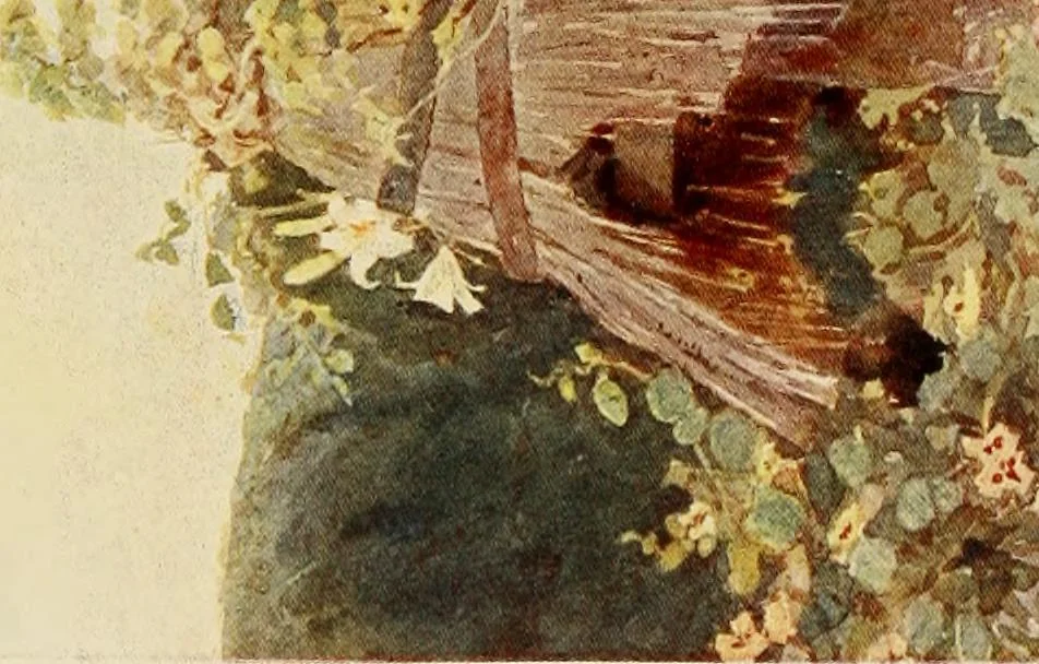 An illustration from Some English gardens;, 1904, leaf 341