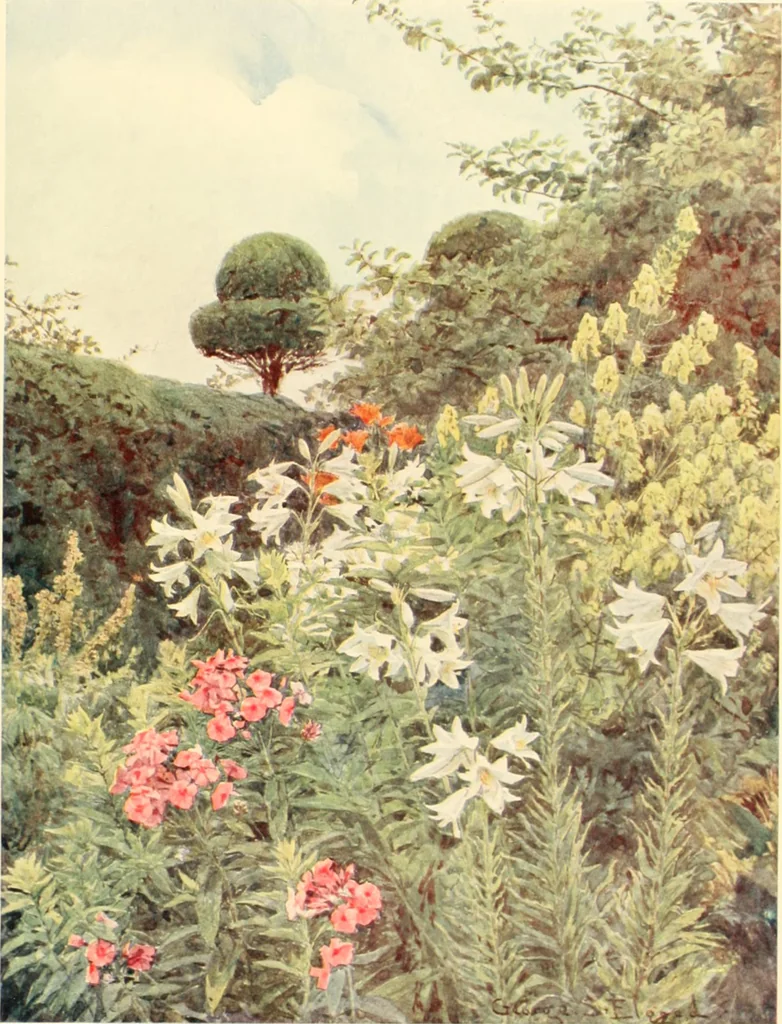 An illustration from Some English gardens;, 1904, leaf 94
