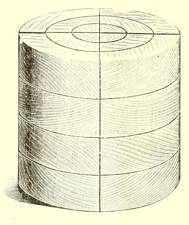 An illustration from Some evolutions in the kindergarten work, 1903, leaf 7