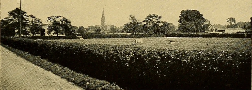 An illustration from Some famous country parishes, 1911, leaf 132