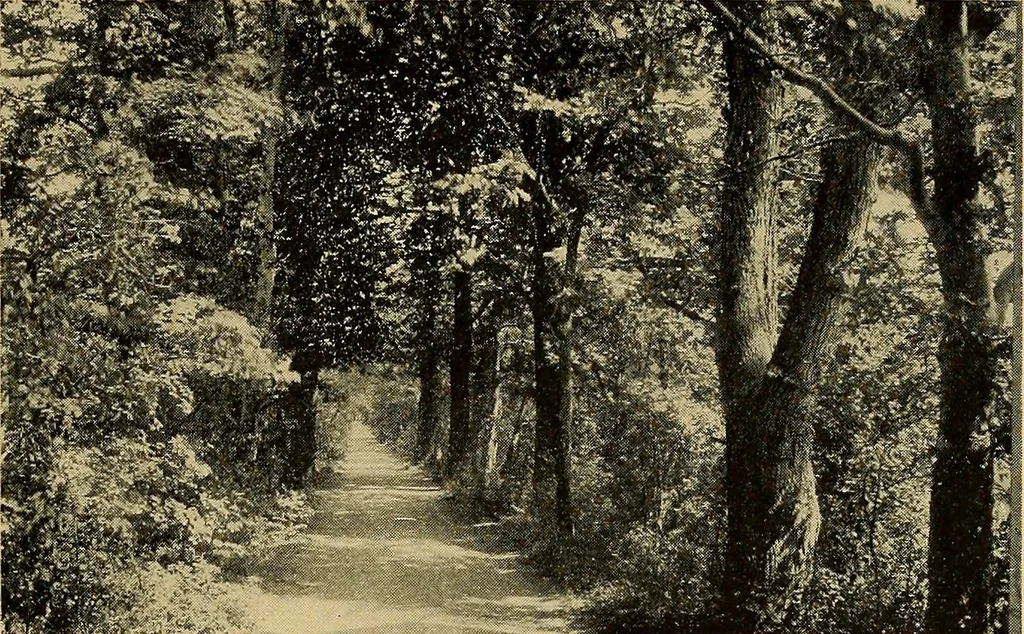 An illustration from Some famous country parishes, 1911, leaf 186