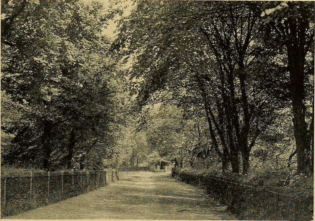 An illustration from Some famous country parishes, 1911, leaf 204