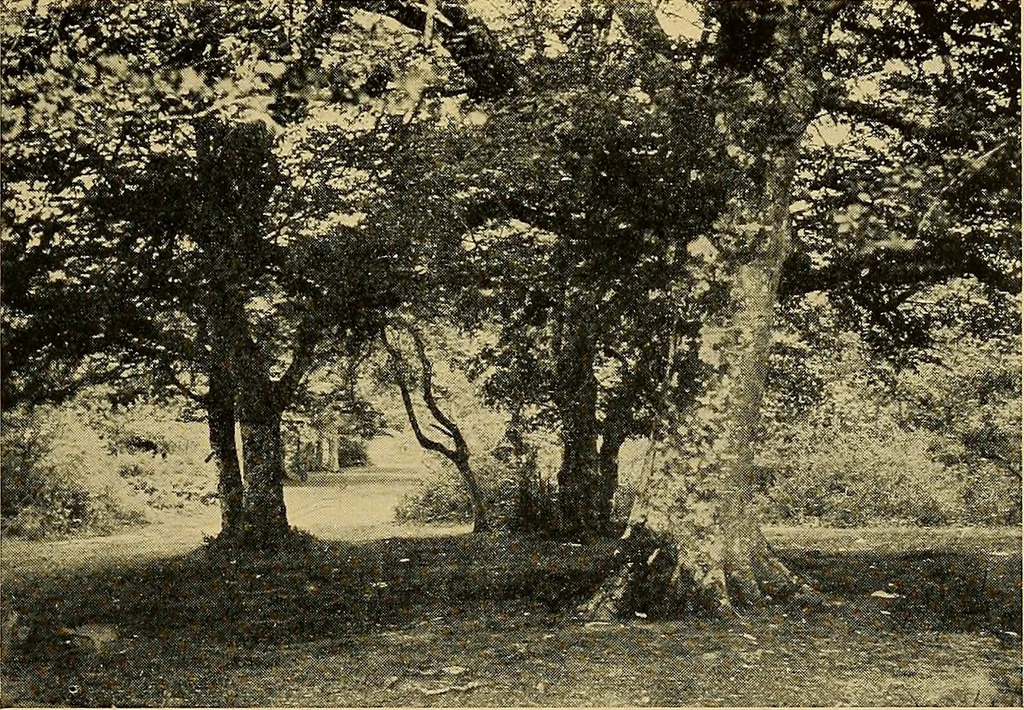 An illustration from Some famous country parishes, 1911, leaf 44