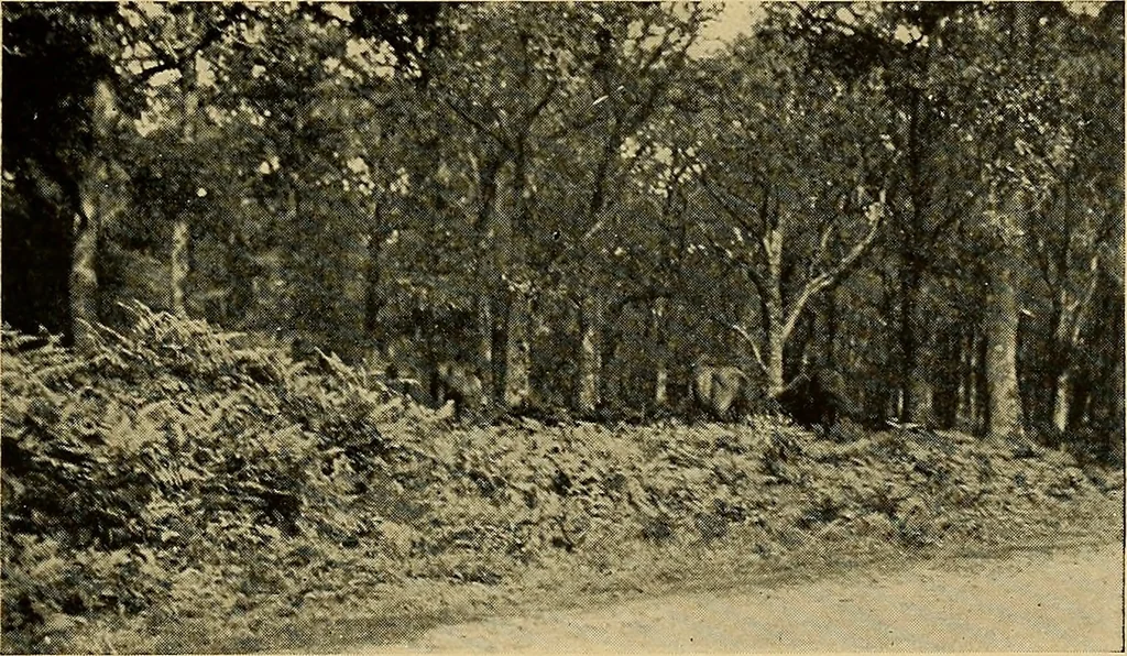 An illustration from Some famous country parishes, 1911, leaf 50