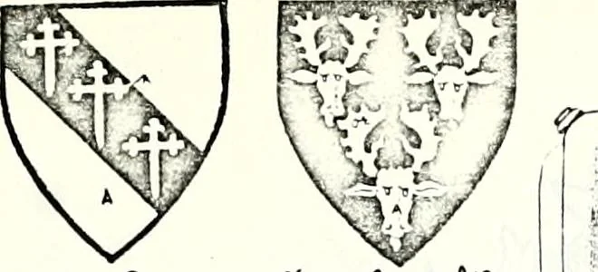 An illustration from Some feudal coats of arms and others, illustrated with 2,000 zinco etchings from the Bayear tapestry, Greek vases, seals, tiles, effigies, brasses and heralcic rolls. Some chart pedigrees, 1902, leaf 166
