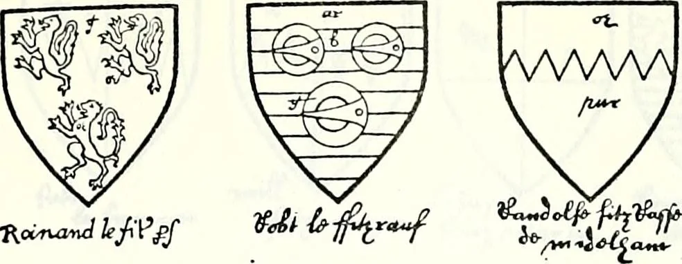 An illustration from Some feudal coats of arms and others, illustrated with 2,000 zinco etchings from the Bayear tapestry, Greek vases, seals, tiles, effigies, brasses and heralcic rolls. Some chart pedigrees, 1902, leaf 260