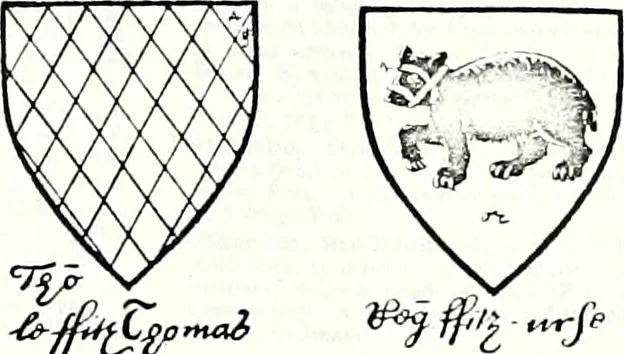 An illustration from Some feudal coats of arms and others, illustrated with 2,000 zinco etchings from the Bayear tapestry, Greek vases, seals, tiles, effigies, brasses and heralcic rolls. Some chart pedigrees, 1902, leaf 260