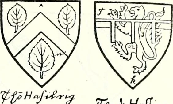 An illustration from Some feudal coats of arms and others, illustrated with 2,000 zinco etchings from the Bayear tapestry, Greek vases, seals, tiles, effigies, brasses and heralcic rolls. Some chart pedigrees, 1902, leaf 294
