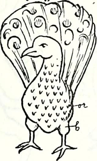 An illustration from Some feudal coats of arms and others, illustrated with 2,000 zinco etchings from the Bayear tapestry, Greek vases, seals, tiles, effigies, brasses and heralcic rolls. Some chart pedigrees, 1902, leaf 524