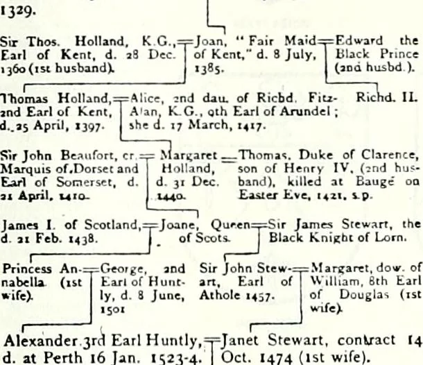 An illustration from Some feudal coats of arms and others, illustrated with 2,000 zinco etchings from the Bayear tapestry, Greek vases, seals, tiles, effigies, brasses and heralcic rolls. Some chart pedigrees, 1902, leaf 538