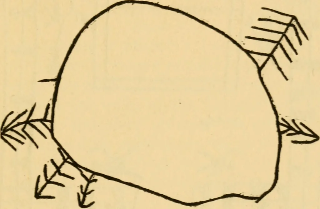 An illustration from Some fundamental verities in education, 1911, leaf 126