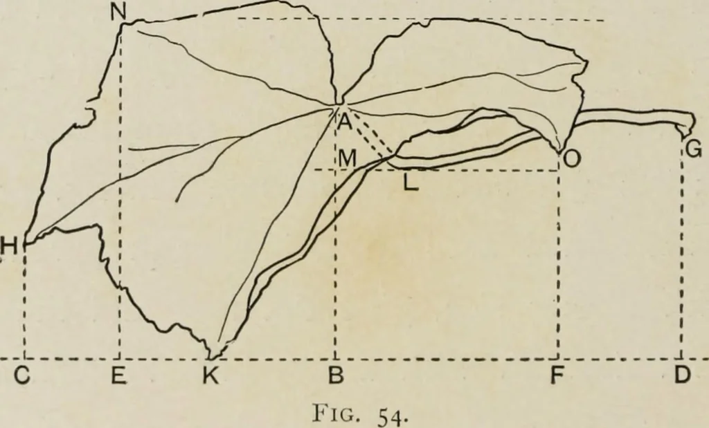 An illustration from Some hints on learning to draw, 1893, leaf 101