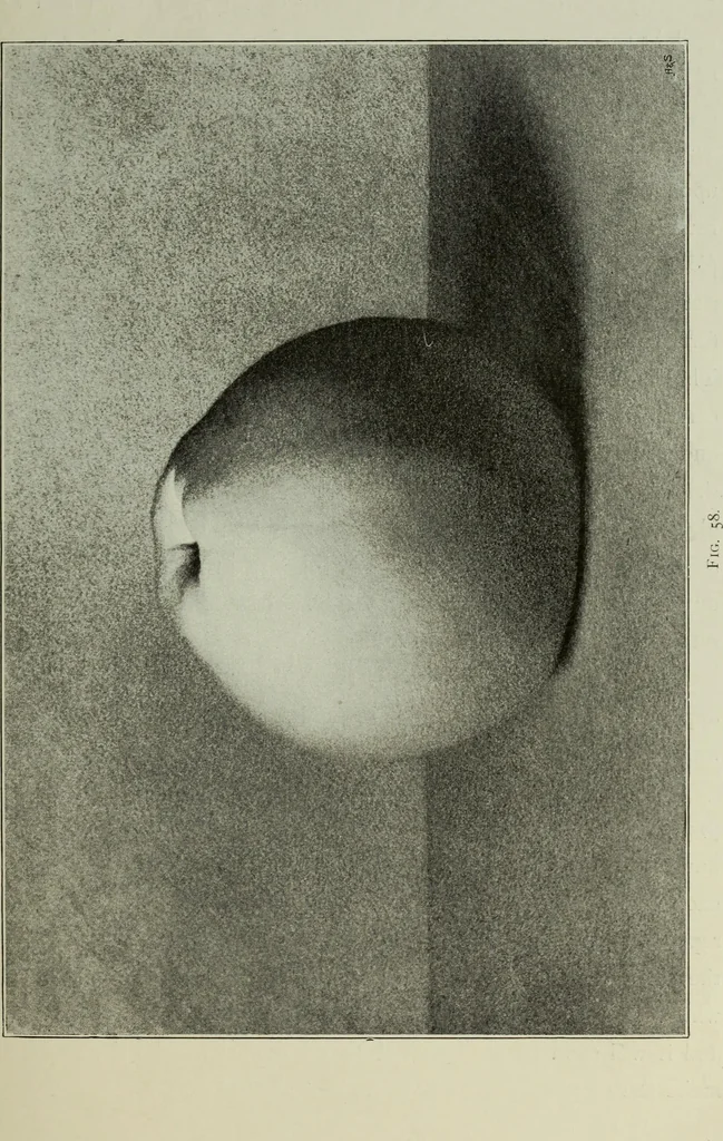 An illustration from Some hints on learning to draw, 1893, leaf 112