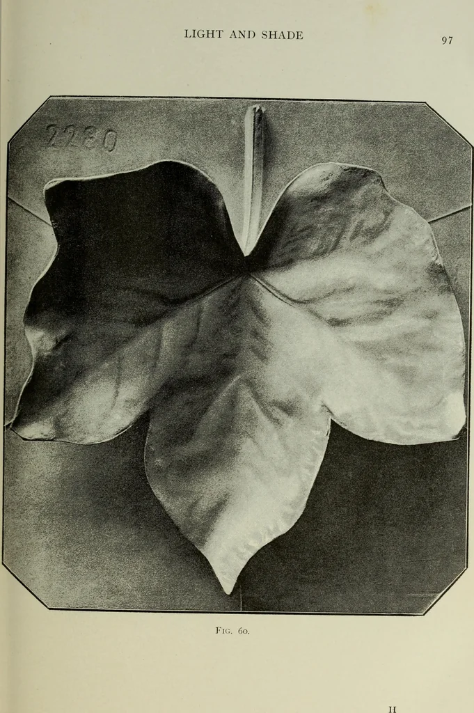 An illustration from Some hints on learning to draw, 1893, leaf 116