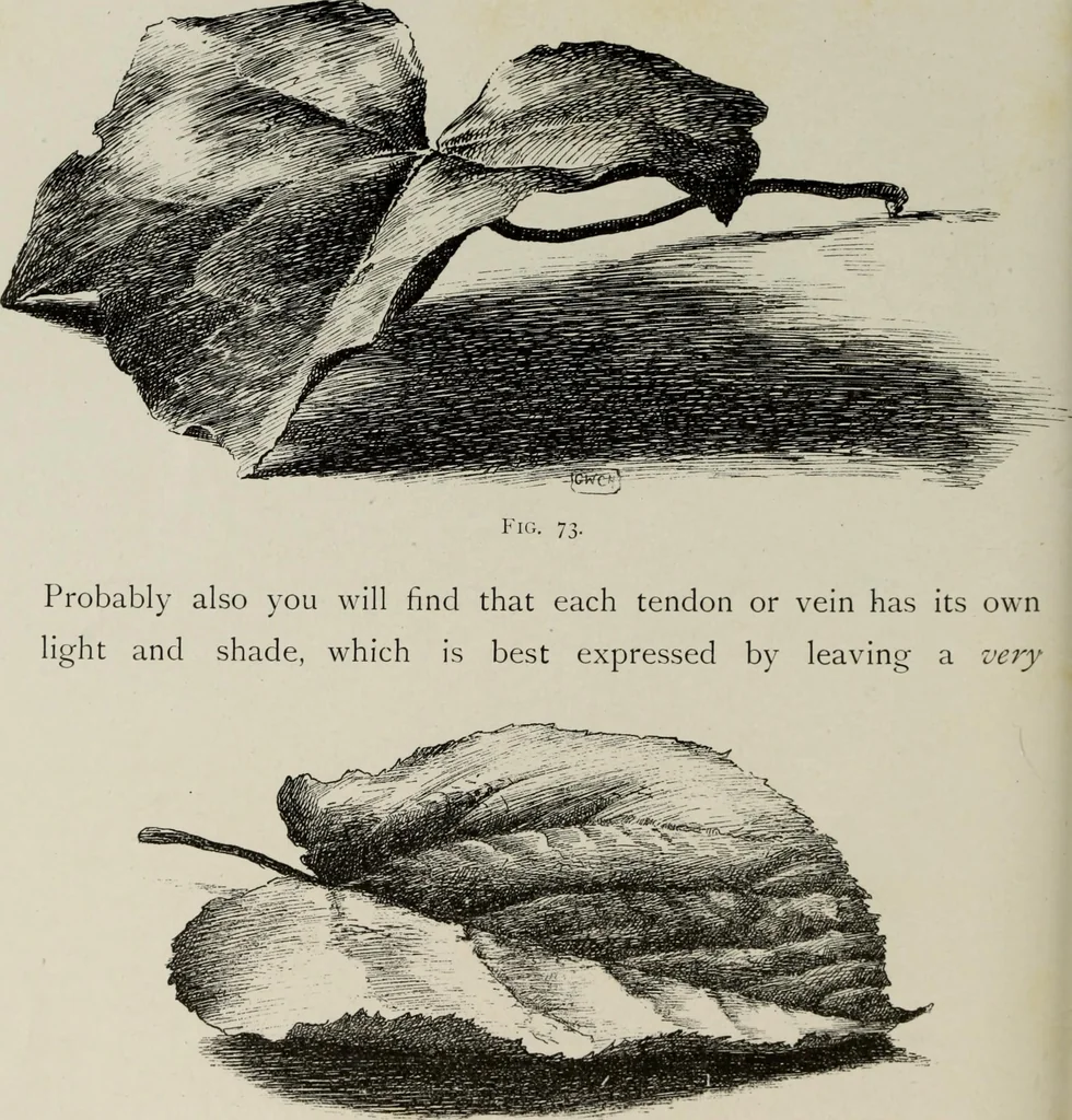 An illustration from Some hints on learning to draw, 1893, leaf 137