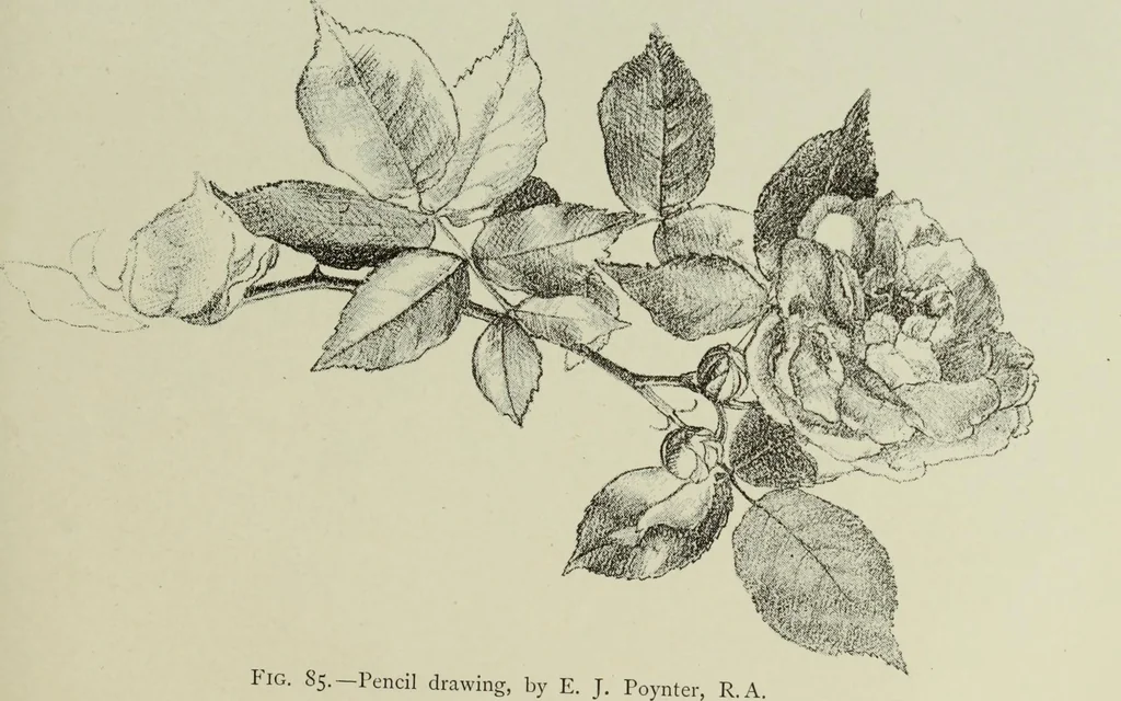 An illustration from Some hints on learning to draw, 1893, leaf 148