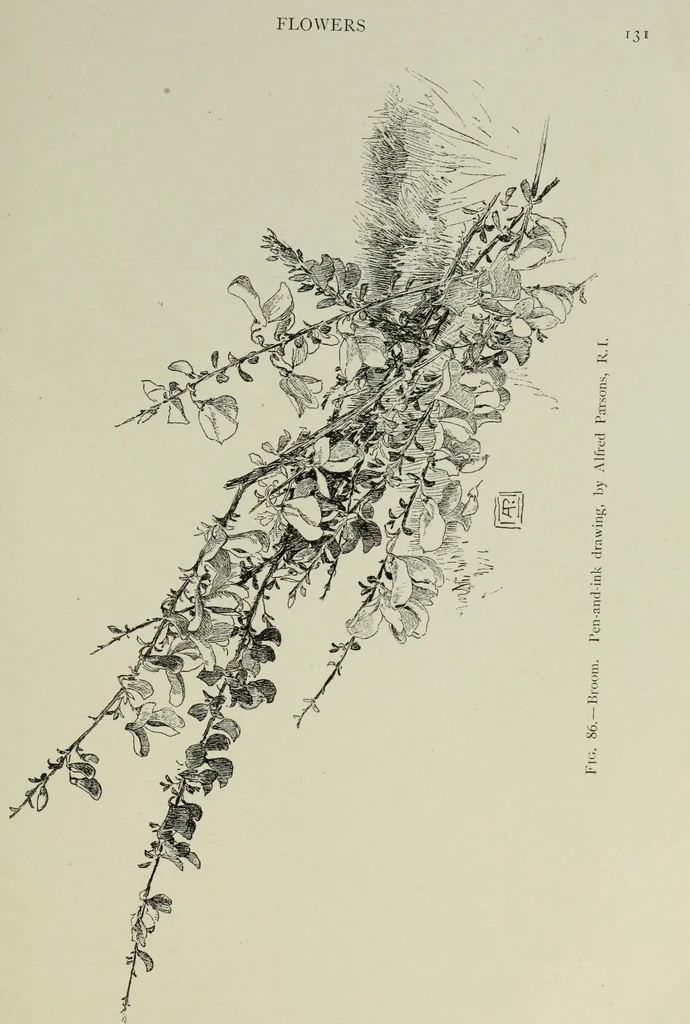 An illustration from Some hints on learning to draw, 1893, leaf 150