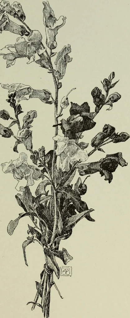 An illustration from Some hints on learning to draw, 1893, leaf 152
