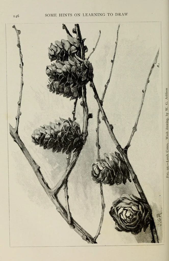 An illustration from Some hints on learning to draw, 1893, leaf 165