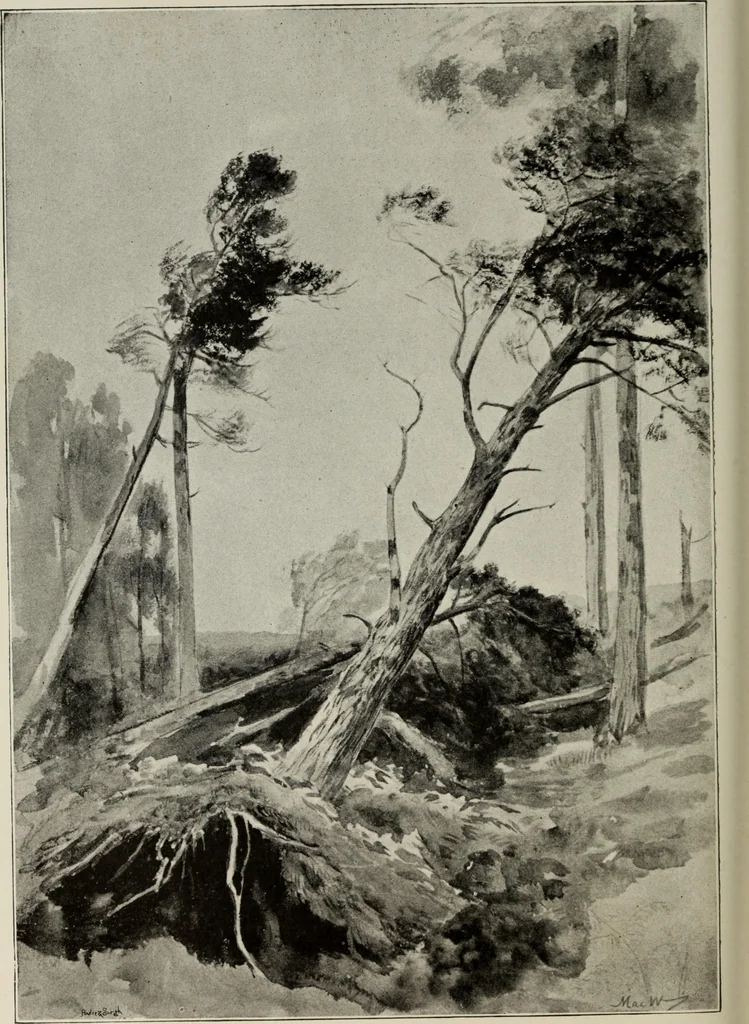 An illustration from Some hints on learning to draw, 1893, leaf 167