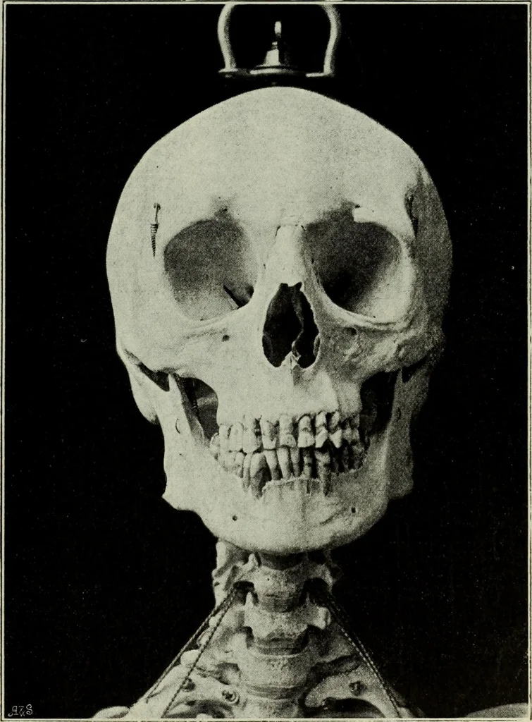 An illustration from Some hints on learning to draw, 1893, leaf 180