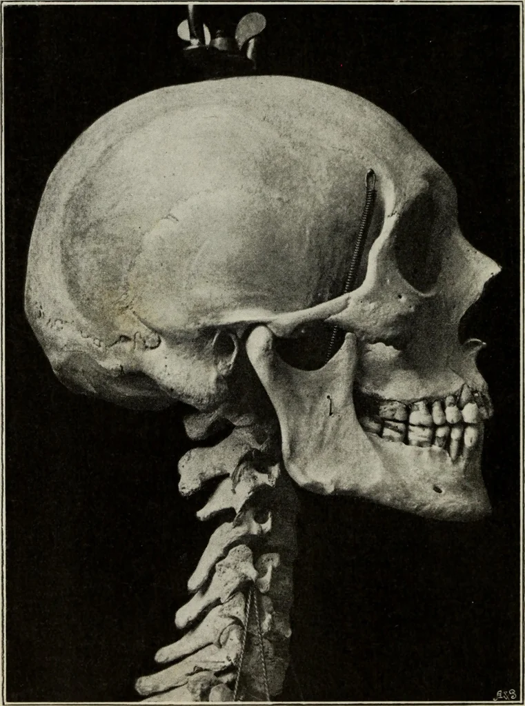 An illustration from Some hints on learning to draw, 1893, leaf 181