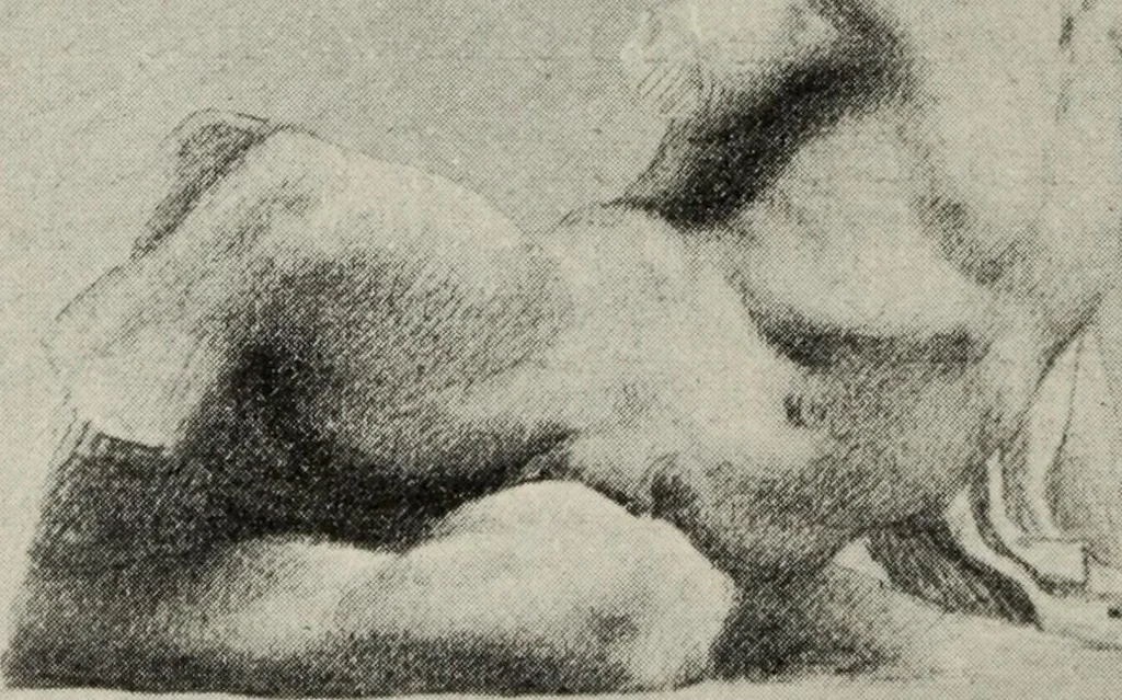 An illustration from Some hints on learning to draw, 1893, leaf 187