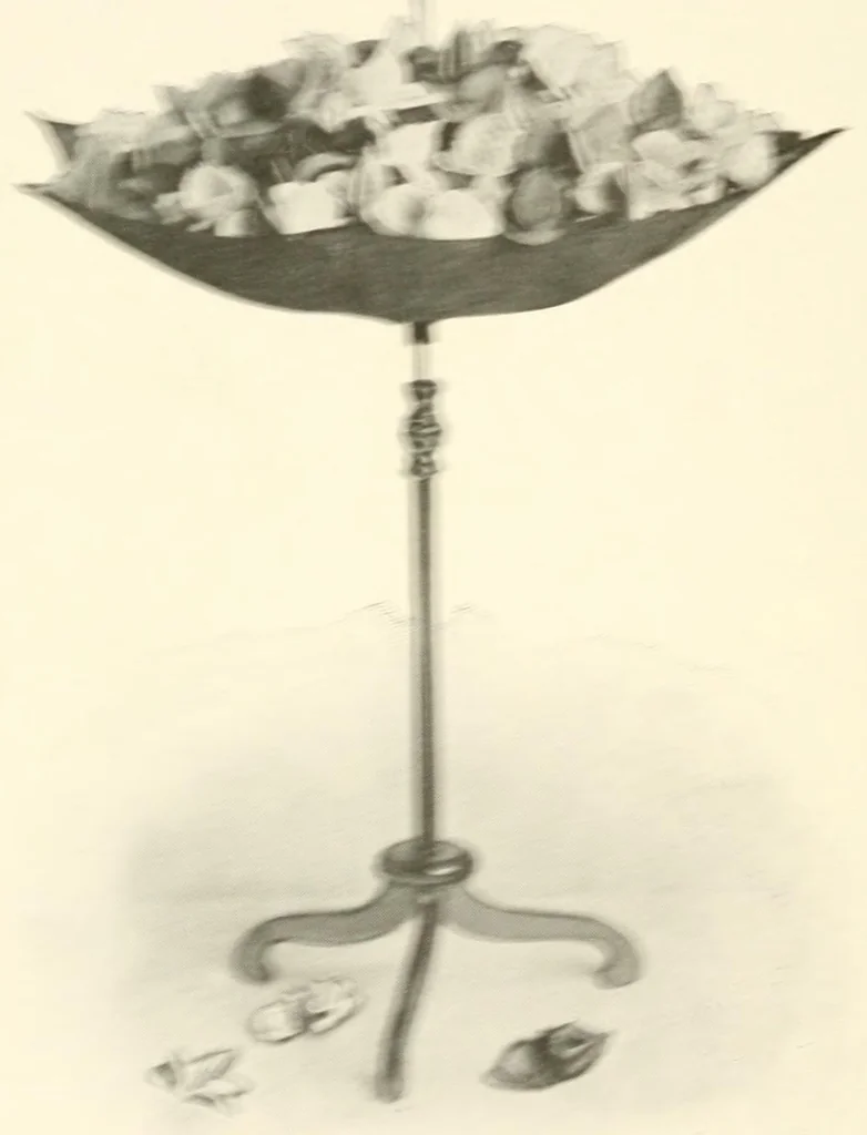 An illustration from Some modern conjuring; a series of original experiments in the magic art, 1909, leaf 10