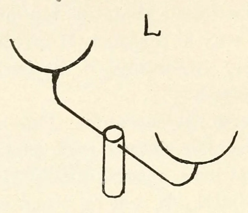 An illustration from Some modern conjuring; a series of original experiments in the magic art, 1909, leaf 84
