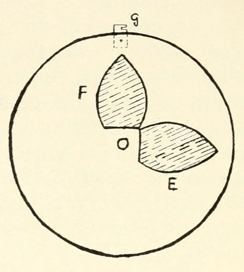 An illustration from Some modern conjuring; a series of original experiments in the magic art, 1909, leaf 90