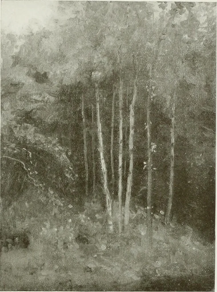 An illustration from Some of the moderns, 1909, leaf 80