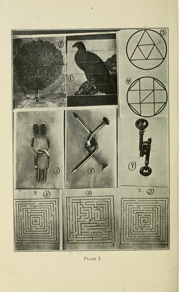An illustration from Some phases of the psychology of puzzle learning, 1915, leaf 96