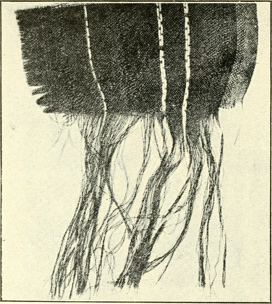 An illustration from Some points in choosing textiles, 1917, leaf 11