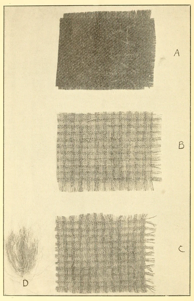 An illustration from Some points in choosing textiles, 1912, leaf 12