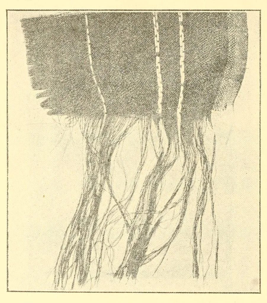 An illustration from Some points in choosing textiles, 1912, leaf 14